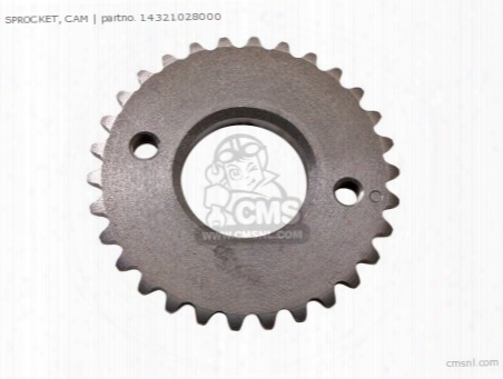 Sprocket Cam