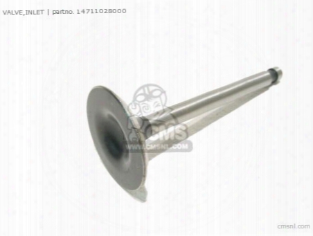 Valve Inlet