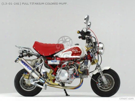 (13-01-261) Full Titanium Colored Muffler For Monkey