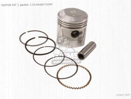 (131a0-087-306p) Piston Kit (std) (non O.e. Alternative)