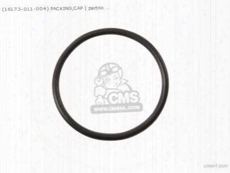 (16173011004) Packing,cap