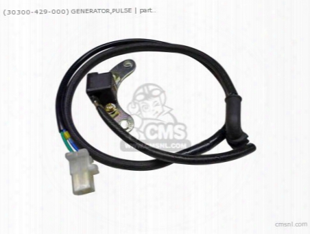 (30300429000) Generator,pulse