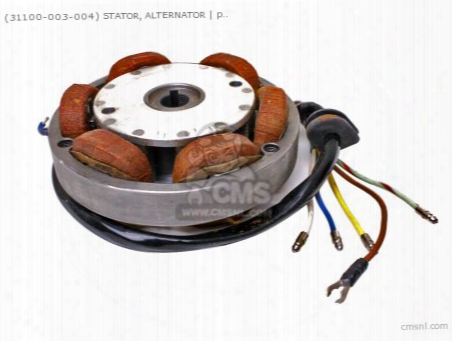 (31100003004) Stator Assy