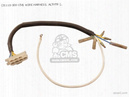 (31110-300-154) Wire Harness, Altntr