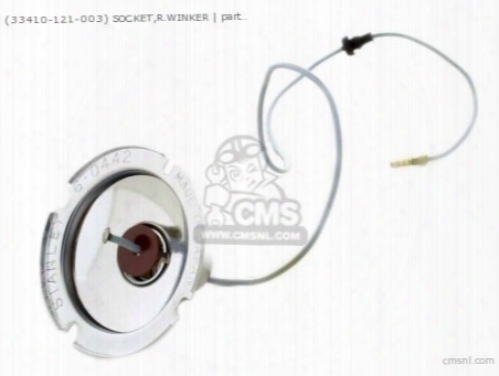 (33410121003) Socket,r.winker
