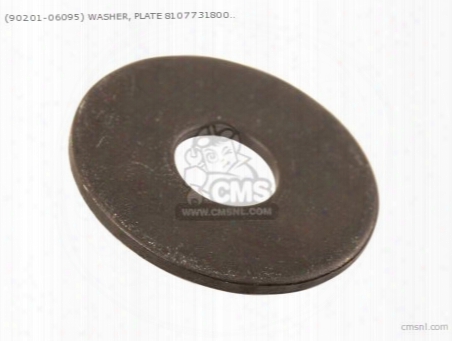 (90201-06095) Washer, Plate 8107731800