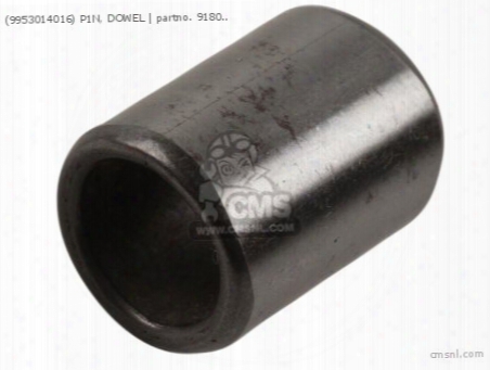 (9953014016) P1n, Dowel