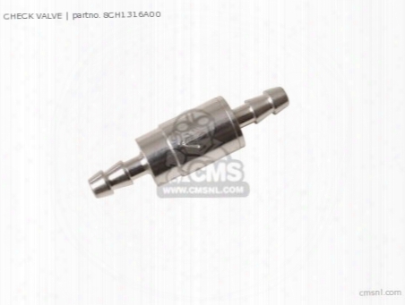 Check Valve