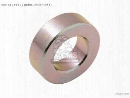 Collar (7r4)