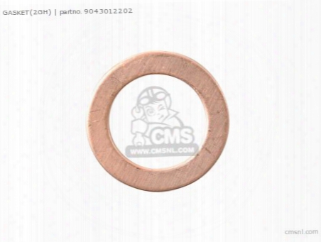 Gasket(2gh)