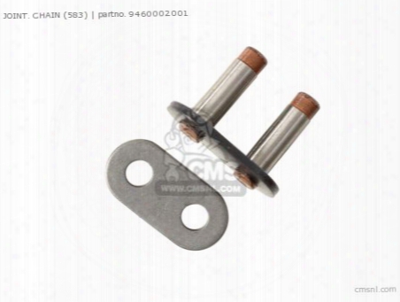 Joint, Chain (583)