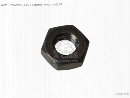 Nut, Hexagon (509)