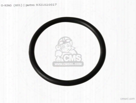 O-ring (601)