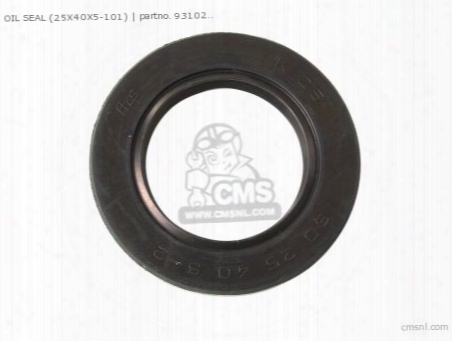 Oil Seal (25x40x5-101)