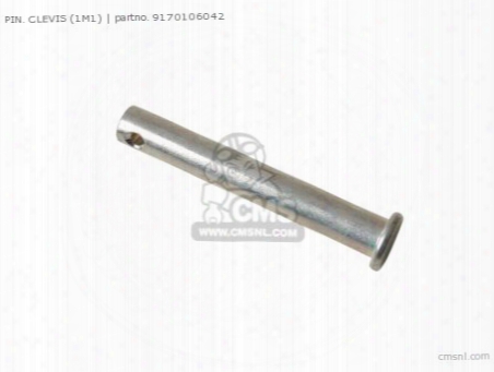 Pin, Clevis (1m1)