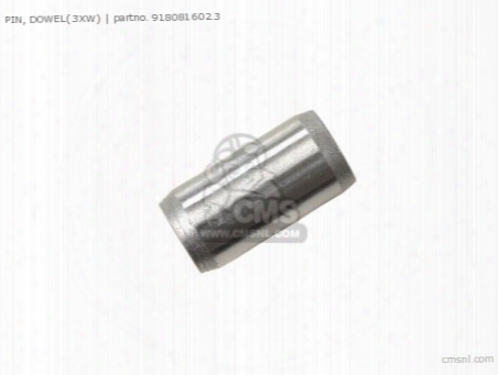 Pin, Dowel(3xw)