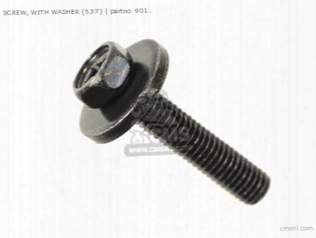 Screw, With Washer (537)