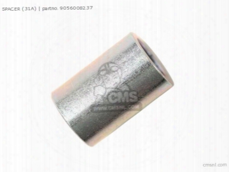 Spacer (31a)