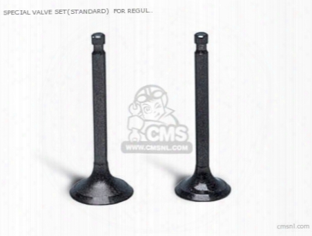 Special Valve Set(standard) For Regular Head Only In-25/ex-22