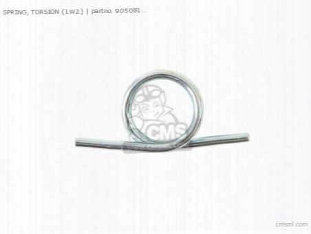 Spring, Torsion (1w2)