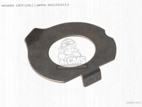 Washer, Lock (29l)