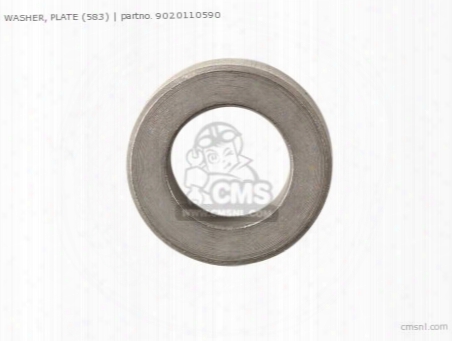 Washer, Plate (583)
