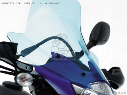 Windscr Defl Long Light Blue
