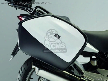 29l Pannier Colour Panel Set Pearl Cool White