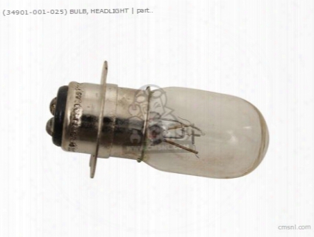(34901001013) Bulb, Headlight