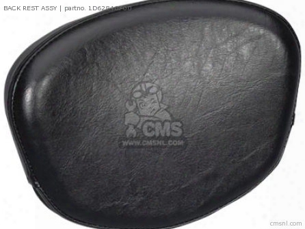 Back Rest Assy