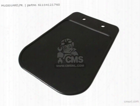 Mudguard,fr.