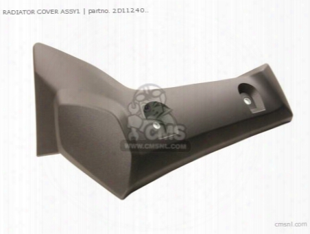 Radiator Cover Assy1