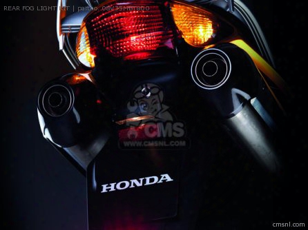 Rear Fog Light Kit