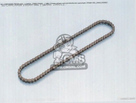 Sd Camchain 25dah-86l