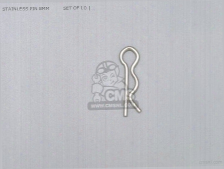 Stainless Pin 8mm Set Of 10