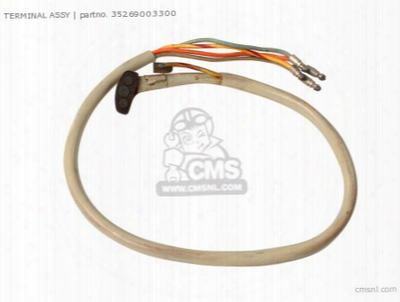 Terminal Assy