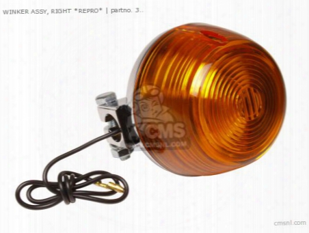 Winker Assy, Right (non O.e. Alternative)
