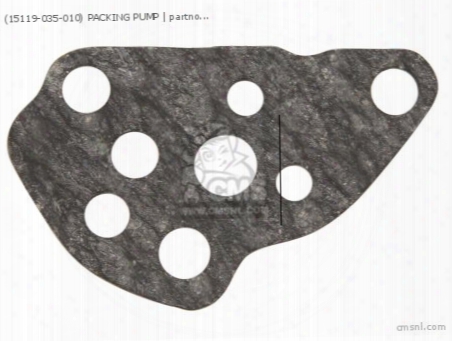(15119-035-010) Packing Pump