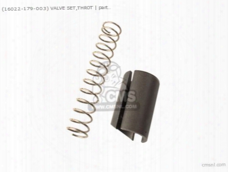 (16022-179-003) Valve Set,throt