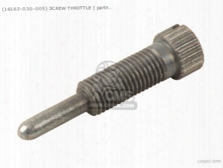 (16163-030-005) Screw Throttle