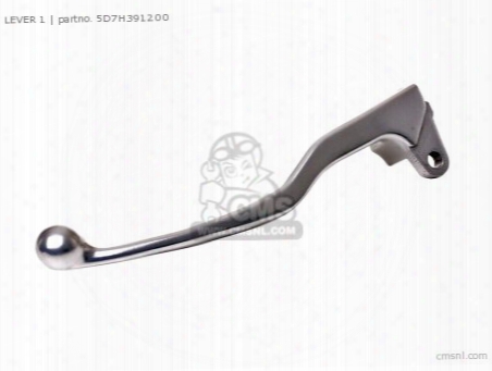 (5d7h391201) Lever 1