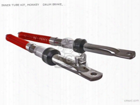 Inner Fork Kit, 40mm Lower Than Stock