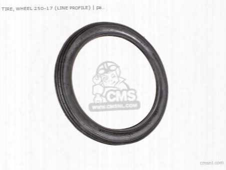 Tire, Wheel 250-17 (line Profile) (non O.e. Alternative)