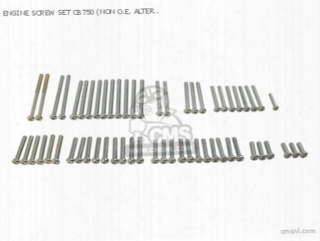 Engine Screw Set Cb750 (non O.e. Alternative)