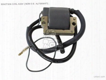 Ignition Coil Assy (non O.e. Alternative)