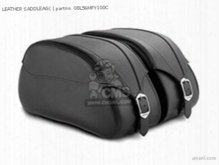 Leather Saddleag(