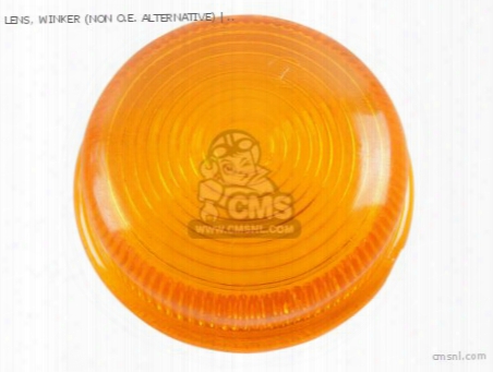 Lens, Winker (non O.e. Alternative)