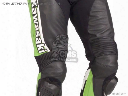 Ninja Leather Pants X