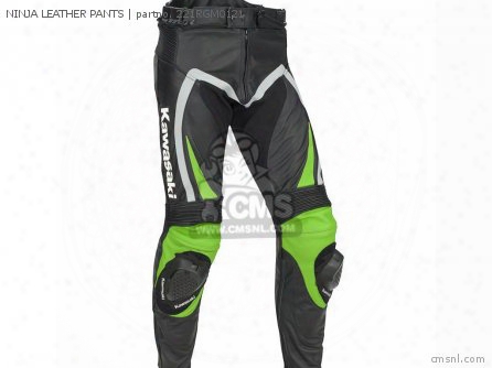 Ninja Leather Pants