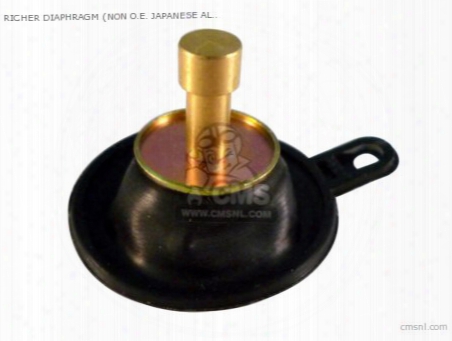 Richer Diaphragm (non O.e. Japanese Alternative)